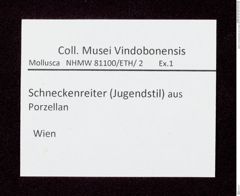 Etikett zu Schneckenreiter aus Porzellan (NHMW-ZOO-MO-0081100-ETH-002)